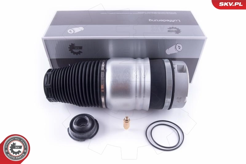 Air Spring, suspension